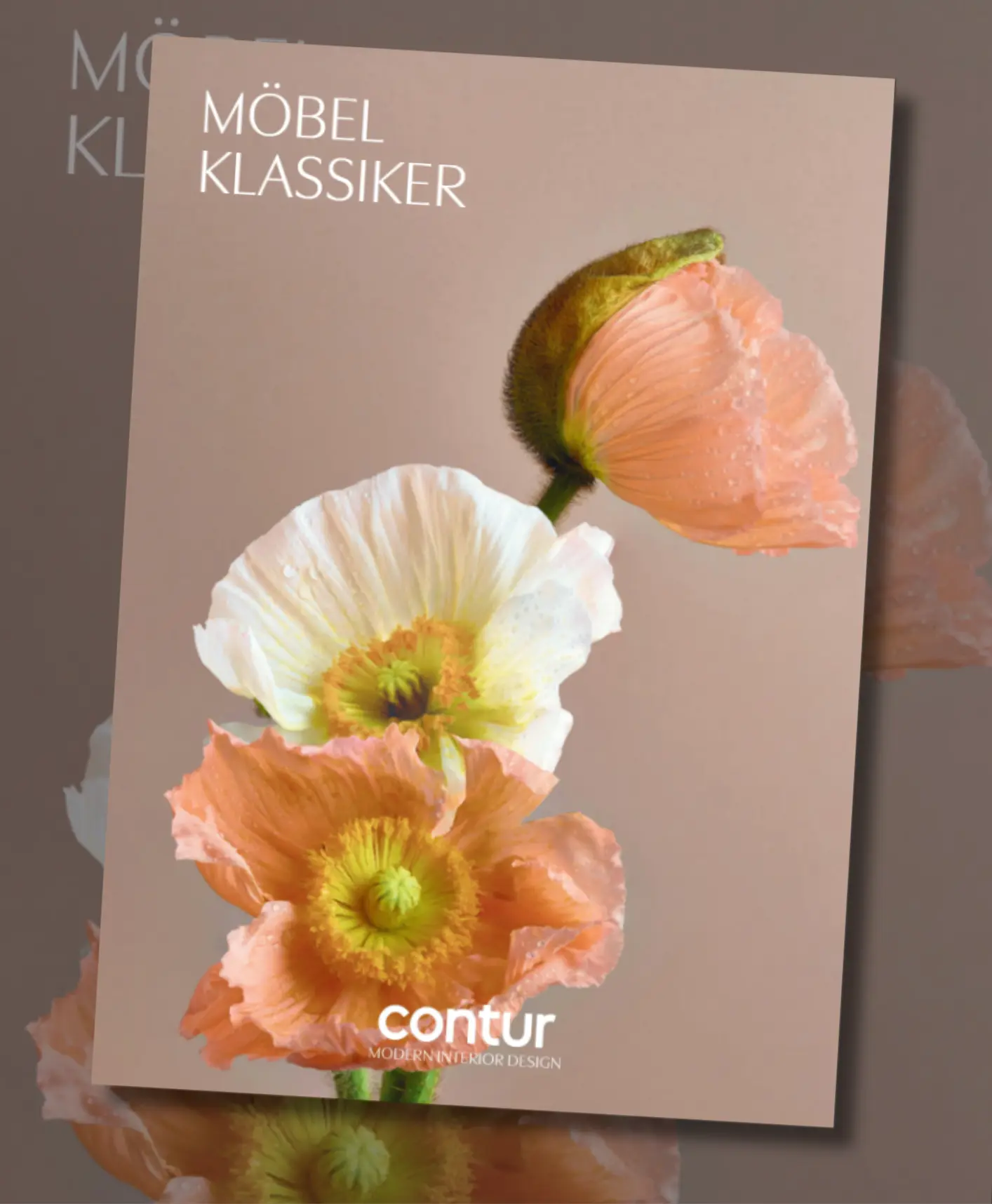 Contur Möbel Klassiker